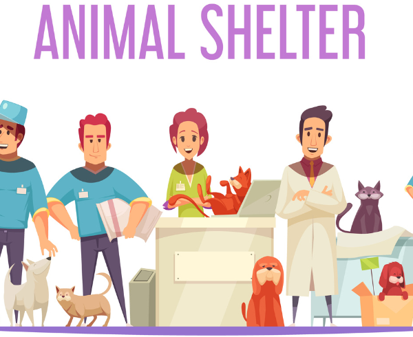 Goshala Full Day Care Package