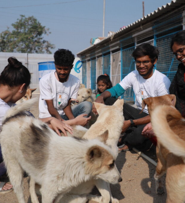 Monthly Animal Care Sponsorship